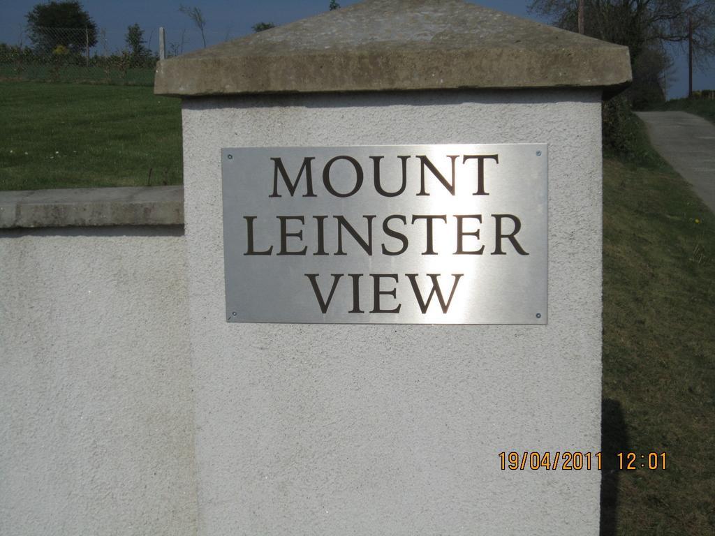 Mount Leinster View Villa Bunclody Room photo