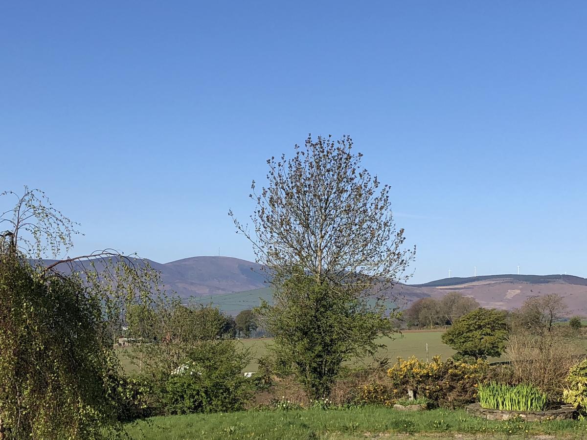 Mount Leinster View Villa Bunclody Exterior photo
